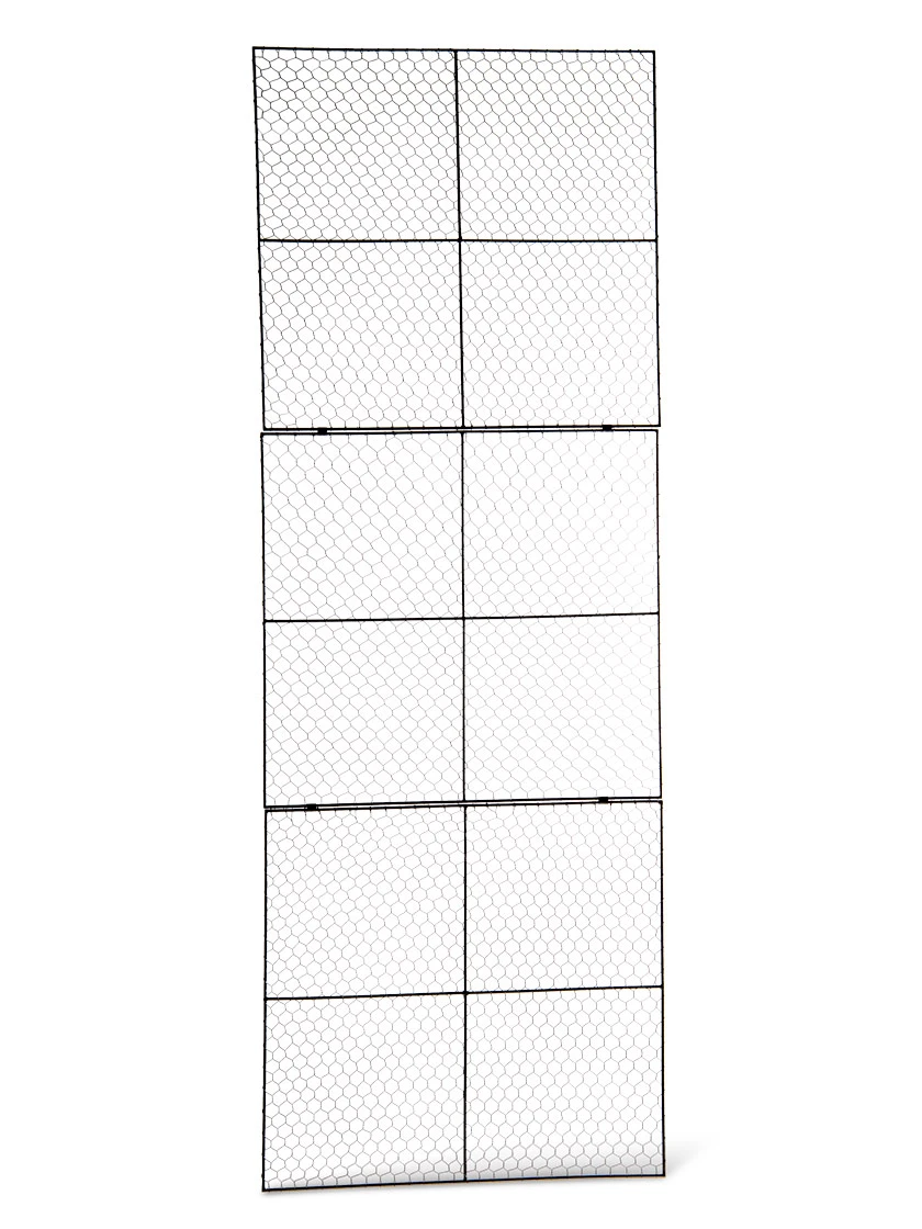 Chicken Wire Wall Trellis 2 Chicken Wire Wall Trellis - Image 2
