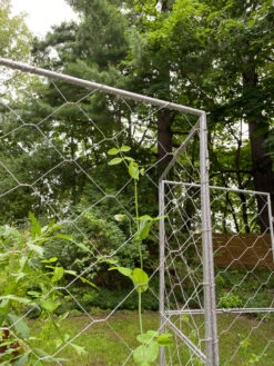 Chicken Wire Pea Trellis -Garden Supply Store 8612718 7302