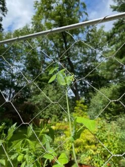 Chicken Wire Pea Trellis -Garden Supply Store 8612718 7311