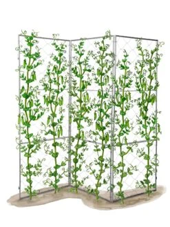Chicken Wire Pea Trellis -Garden Supply Store 8612718 peatrellis art chicken wire pea trellis