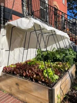 Cotton All Purpose Garden Cover 9 Cotton All Purpose Garden Cover -Garden Supply Store 8612816 01CUST