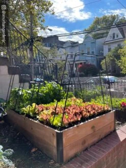 Zenith Garden Hoops, Set Of 4 14 Zenith Garden Hoops, Set Of 4 -Garden Supply Store 8612816 02CUST