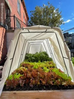 Cotton All Purpose Garden Cover 10 Cotton All Purpose Garden Cover -Garden Supply Store 8612816 03CUST