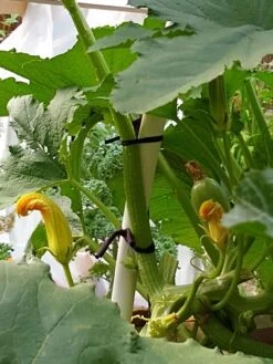 Farmyarn® Multipurpose Garden Tie, 2 Pack -Garden Supply Store 8612948 01v