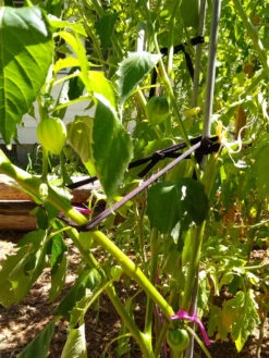 Farmyarn® Multipurpose Garden Tie, 2 Pack -Garden Supply Store 8612948 02v