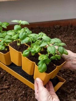 Gardener's Best® XL 6-Cell Planting Tray, Set Of 4 -Garden Supply Store 8613031 6300