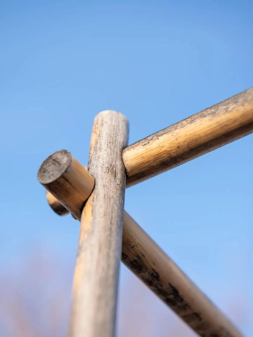 Bamboo Tomato Cages, Set Of 3 9 Bamboo Tomato Cages, Set Of 3 - Image 9