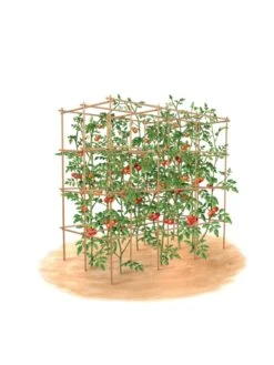 Tomato Six Pack Support -Garden Supply Store 8613143 art flat