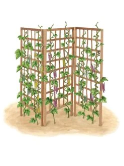 Bamboo Zig-Zag Trellis 24" X 36" -Garden Supply Store 8613151 art flat