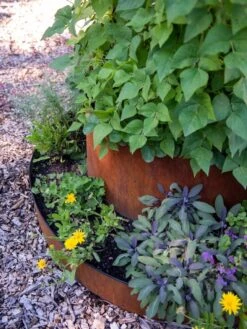 Birdies™ Corten Steel Tiered Round Raised Bed Kit, Tall -Garden Supply Store 8613245 0195