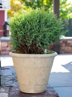 Self-Watering LavaStone® Anson Pot 10 Self-Watering LavaStone® Anson Pot -Garden Supply Store 8613255 0144