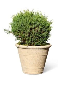 Self-Watering LavaStone® Anson Pot 12 Self-Watering LavaStone® Anson Pot -Garden Supply Store 8613255 0150