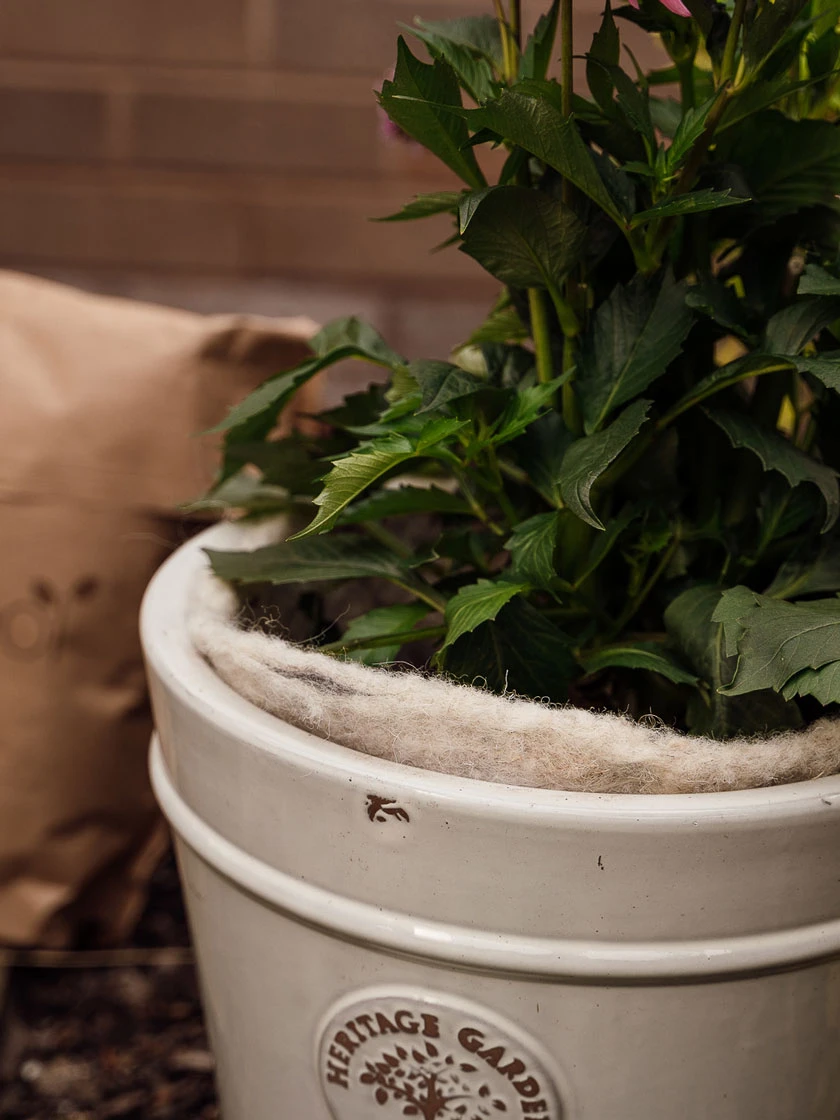 Hortiwool ®, 5 Pad Pack 6 Hortiwool ®, 5 Pad Pack - Image 6