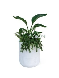 Arden Round Planter -Garden Supply Store 8613267 0115