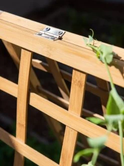 Bambo A Frame Plant Support, 30" X 42.5" -Garden Supply Store 8613310 6525