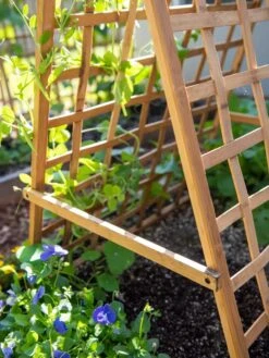 Bambo A Frame Plant Support, 30" X 42.5" -Garden Supply Store 8613310 6556