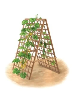 Bambo A Frame Plant Support, 30" X 42.5" -Garden Supply Store 8613310 art flat