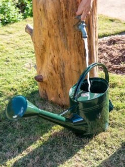 Long Reach Watering Can, Large -Garden Supply Store 8613346 0147