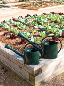 Long Reach Watering Can, Large -Garden Supply Store 8613346 0148 1