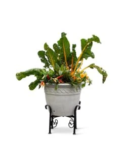 Covington Adjustable Plant Stands 18 Covington Adjustable Plant Stands -Garden Supply Store 8613347 0119