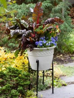 Covington Adjustable Plant Stands 15 Covington Adjustable Plant Stands -Garden Supply Store 8613348 0114