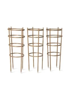 Bamboo Tomato Cages, Set Of 3 15 Bamboo Tomato Cages, Set Of 3 -Garden Supply Store 8613426 4679 bamboo tomato cages 3