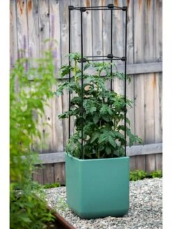 Oasis Self-Watering Tomato Planter With Trellis -Garden Supply Store 8613440 0373 3 4