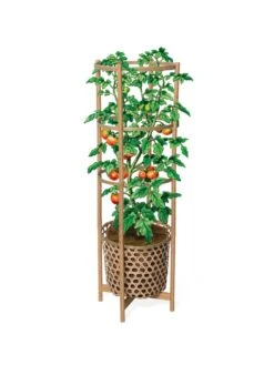 Elevated Bamboo Tomato Planter And Trellis -Garden Supply Store 8613502 art flat