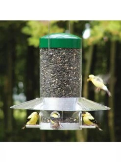 Birds Choice® Classic Hanging Bird Feeder, 12 Inches