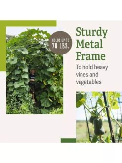 Titan Squash Tunnel -Garden Supply Store B07932DMCR plantsupport benefits 2