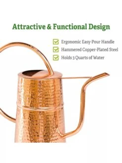 Copper Indoor Watering Can -Garden Supply Store Copper Watering Can 1