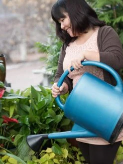 French Blue Watering Can -Garden Supply Store EmilyHoangSquare 0151 tif