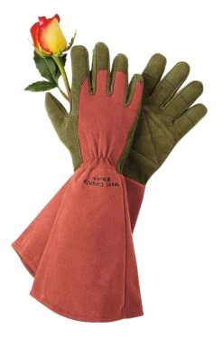 Rose Gloves -Garden Supply Store GS36874 01Z tif