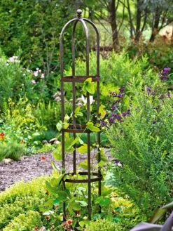 Jardin Bird Cage Support, 26" -Garden Supply Store GS39529 01 tif