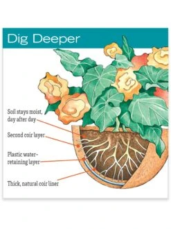 AquaSav™ Replacement Liners, Set Of 3 6 AquaSav™ Replacement Liners, Set Of 3 -Garden Supply Store hiw 38 583