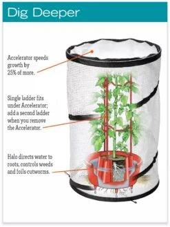 Tomato TLC Kits, Set Of 3 -Garden Supply Store hiw 8594214 jpg