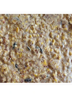 Woodpecker Almond Suet, 11.75 OZ, 12 Pack 7 Woodpecker Almond Suet, 11.75 OZ, 12 Pack -Garden Supply Store webimage 8613691 04V